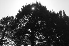 866584BC-F8B8-42B4-8B7C-182C127A20A1